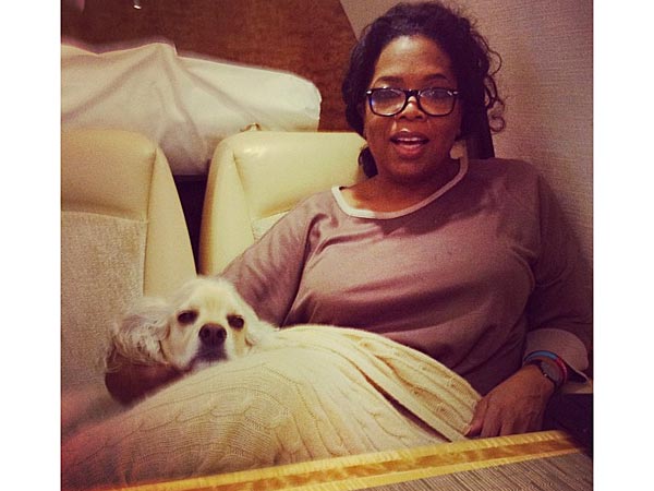 Oprah's Real Favorite Things? Her Dogs
