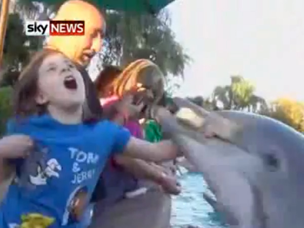 SeaWorld on Defense Over Dolphin Attack