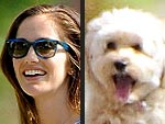 Stars and Their Pets: Minka Kelly's California Casual | Minka Kelly