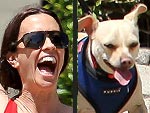 Stars and Their Pets: Alanis Morissette's Happy Dogma | Alanis Morissette