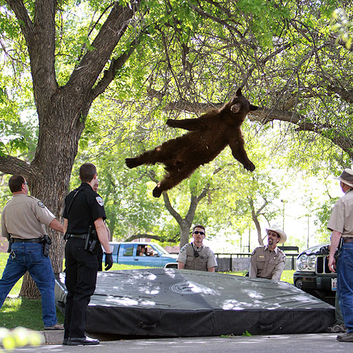 10 Craziest Animal Photos of 2012