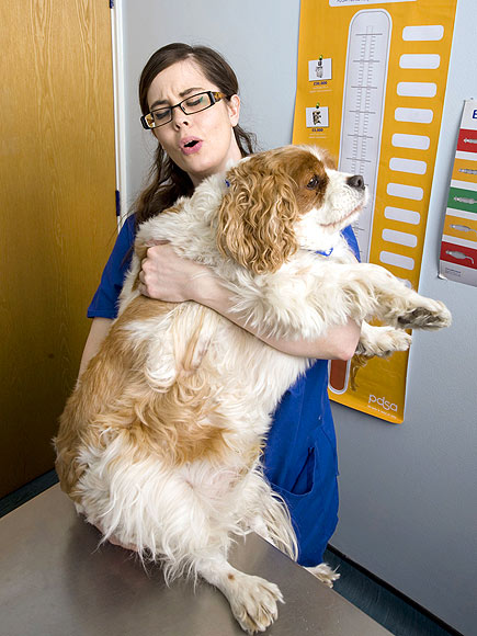 10 Craziest Animal Photos of 2012