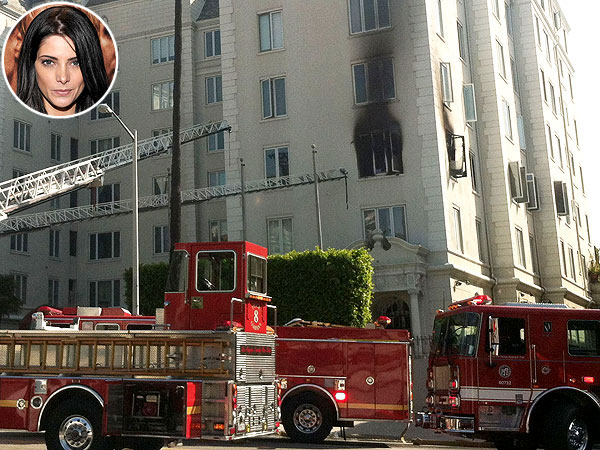 Ashley Greene's Dog Dies In Condo Fire