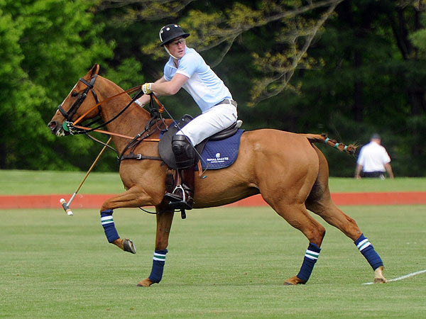 Prince Harry Plays Polo, Thanks U.S. For Hospitality During Tour
