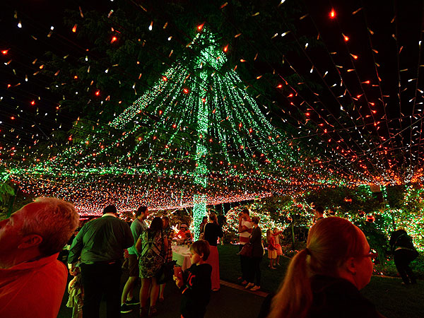 richards family reclaim christmas lights guinness world richards family reclaim christmas lights guinness world