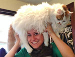 PHOTOS: Cats as Hats!