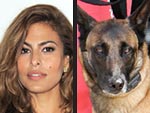 Stars' Extreme Pet Parenting | Eva Mendes
