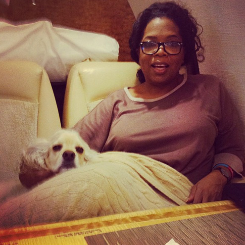 Oprah's Favorite Things: Her Dogs!
