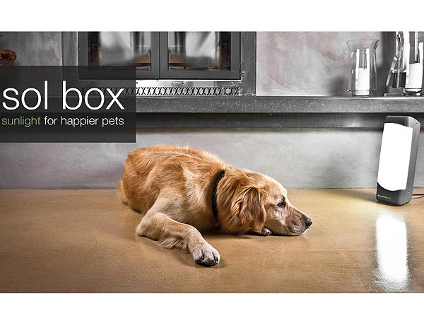Sunlight Generators Help Depressed Pets