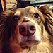 The Daily Treat: Hey, Look, There's Something on Finn Seyfried's Nose!