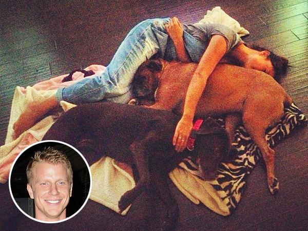 Sean Lowe's Dogs, Catherine Giudici Nap on the Floor Photo