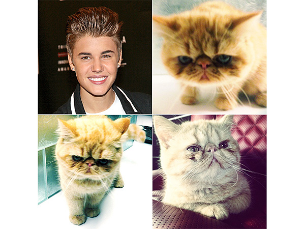 Justin Bieber's Cat Tuts, Photos