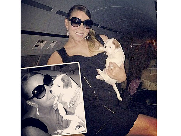 Mariah Carey Names Dem Puppies on Twitter, Instagram