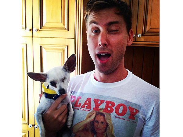 Lance Bass Posts Photo of Dog Up for Adoption