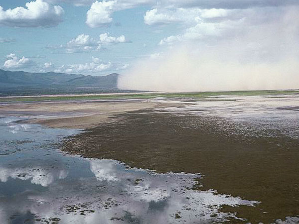 Lake Natron Turns Animals to Stone ... Really!