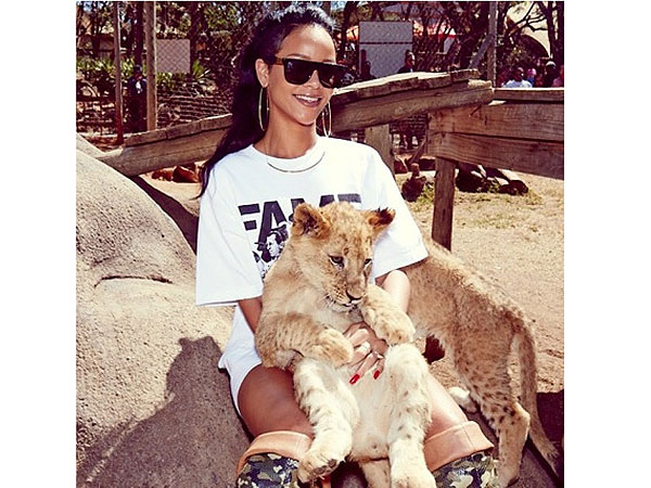 Rihanna Meets Animals in Africa: photos