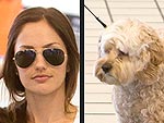 Stars and Their Pets: Minka Kelly's Furry Flyer | Minka Kelly