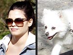 Stars and Their Pets: Jenna Dewan-Tatum's Sunny Stroll | Jenna Dewan