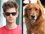 See Latest Andrew Garfield Photos