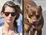 Stars and Their Pets: Gisele Bündchen's Boston Bunch | Gisele Bundchen