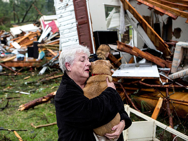 Mississippi Tornado: Woman Finds Dog Alive in House Wreckage
