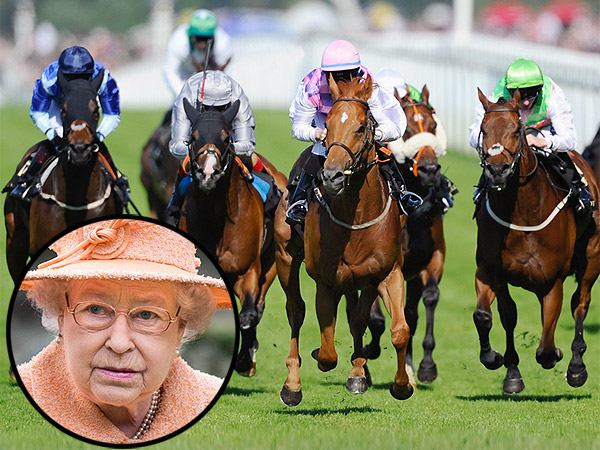 Queen Elizabeth's Royal Ascot Racehorse Fails Dope Test