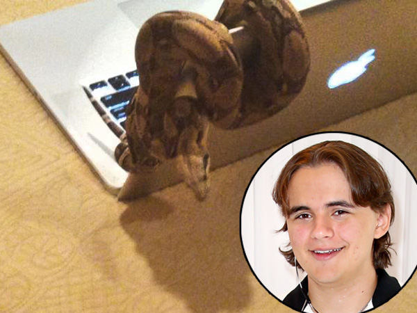 Prince Jackson Owns 10 Snakes, Vine Videos