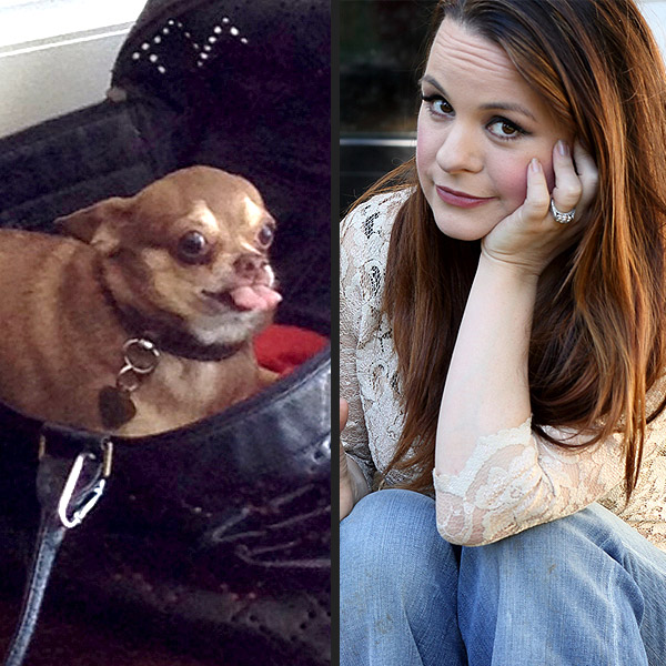 Ginger Zarin vs. Jenna von Oy: The Celebrity Wife Swap Showdown