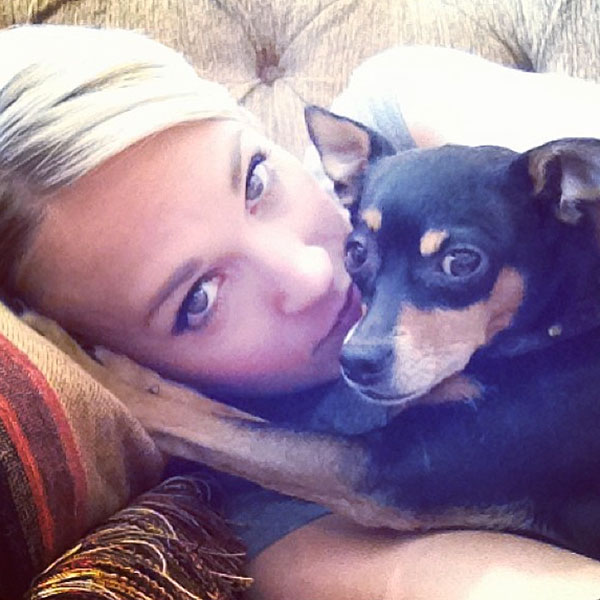 Carrie Underwood Pregnant: Best Instagrams of Her Dogs