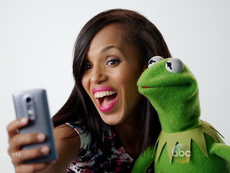 kerry-kermit-800.jpg