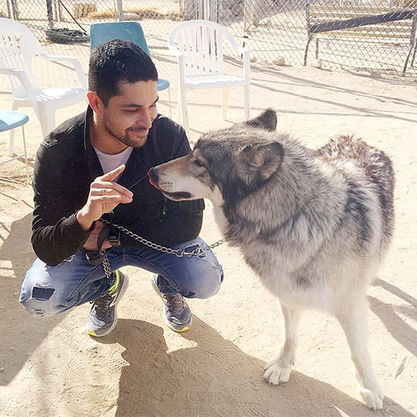 Demi Lovato Celebrates Wilmer Valderrama's Birthday at a Wolf Sanctuary