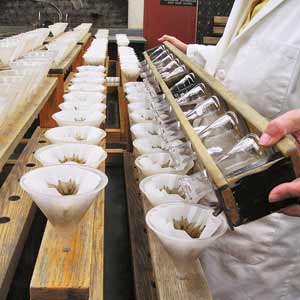 testing soil quality in a lab