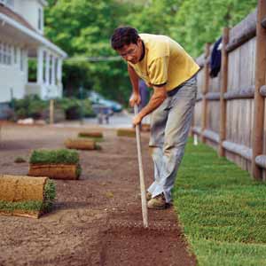 man putting down sod in his yard