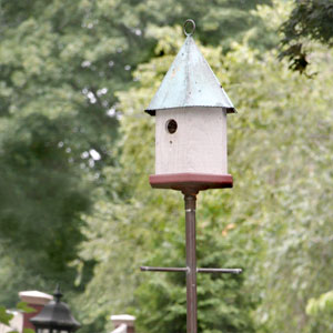 birdhouse sitting high above a yard