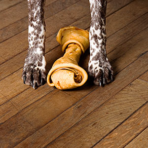 Can You Buff Out Dog Nail Scratch Can You Buff Out Dog Nail Scratch