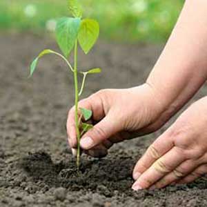 environmentally-conscious kids
