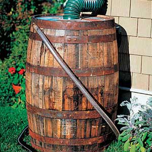 rain barrel