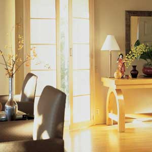 functional door shades