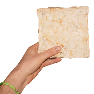hand holding a piece of mushroom insulation