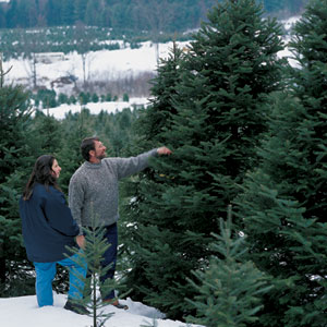 This Old House master carpenter Norm Abram and his daughter, Lindsey, make their annual pilgrimage to the Christmas tree farm.