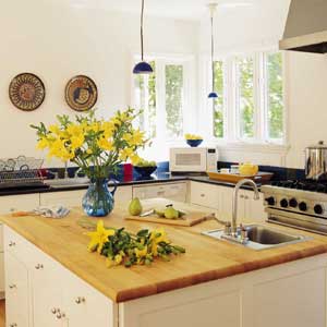 Abrams/Zitsman kitchen