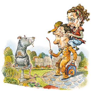 homeowner and exterminator battling and giant rat in staten island, ny