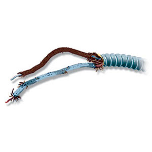 armored cable