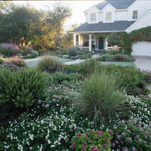 Lush, low-water-use landscape