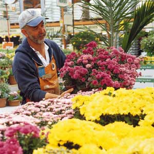 best deal on plants