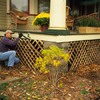 Remove the old lattice