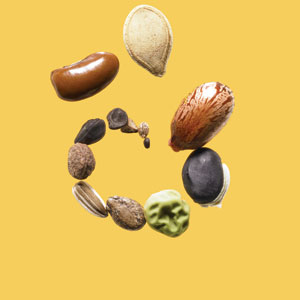 Pumpkin seed with assorted Seeds