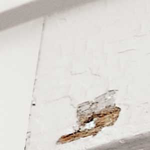 a gouge in white painted clapboard siding