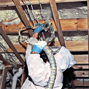 spraying foam insulation in an attic