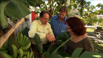 Ask This Old House Episode 1116 of Season 11